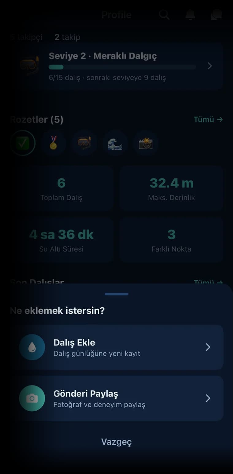 DivePal profil ekranı: dalgıç seviyesi, rozetler ve istatistikler